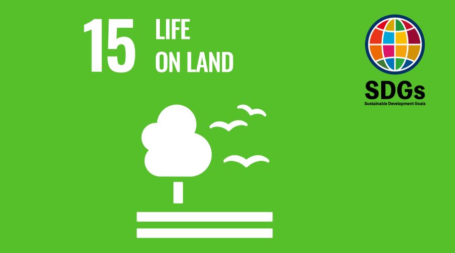 SDG 15 – Leben an Land schützen und erhalten