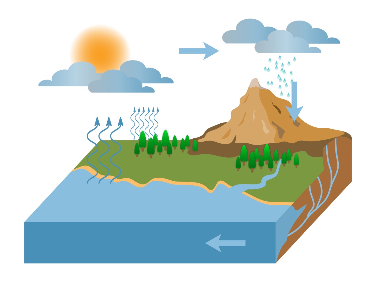 SDG 6 - Water cycle